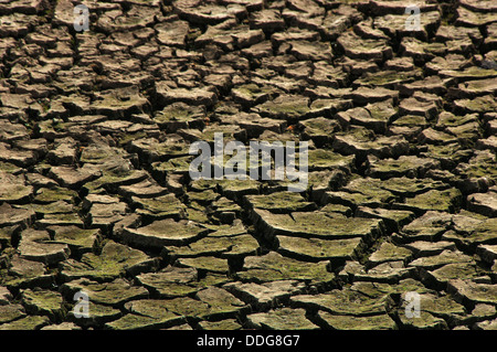 Essiccati in letto del serbatoio Foto Stock