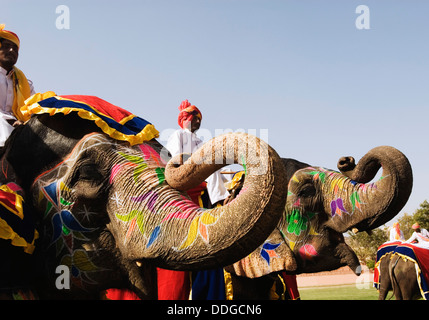Mahouts con Elefanti Elefante in Festival, Jaipur, Rajasthan, India Foto Stock