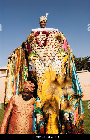 Uomo in tradizionale di Rajasthani abito reale su un elefante, elefante Festival, Jaipur, Rajasthan, India Foto Stock