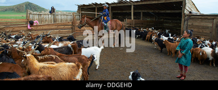 Mongolia, Ovorkhangai provincia, Batkhan parco nazionale, Rally di guidato. Foto Stock