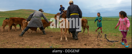 Mongolia, Ovorkhangai provincia, Batkhan parco nazionale, Rally di guidato. Foto Stock