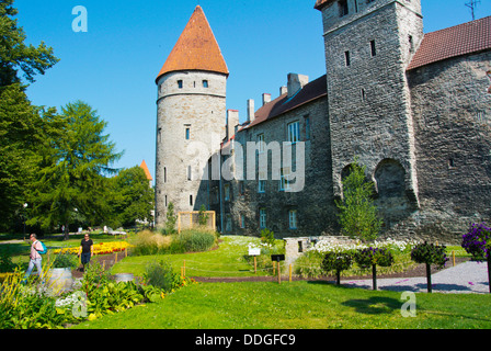 Fiore di Tallinn Festival summer 2013 Tornide väljak torri piazza fuori alle mura della vecchia città Tallinn Estonia Paesi Baltici Europa Foto Stock