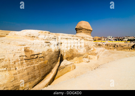 Vista posteriore della Sfinge di Giza con la periferia del Cairo in background. Egitto Foto Stock