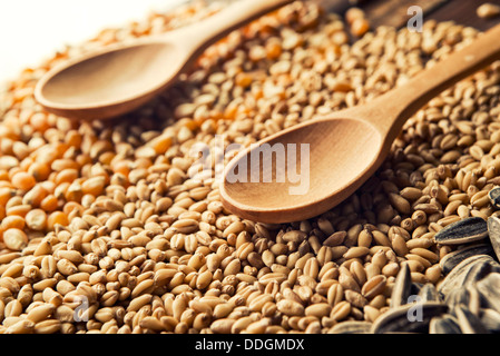 Cucchiai di legno e i chicchi di cereali sul tavolo di legno Foto Stock