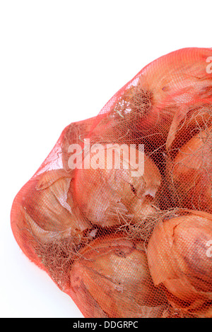 Cipolle fresche in un rosso rete in plastica su sfondo bianco Foto Stock