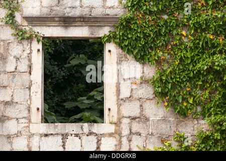 Casa abbandonata frammento. Antico muro di pietra con finestra vuota e piante. Città Perast, Montenegro Foto Stock