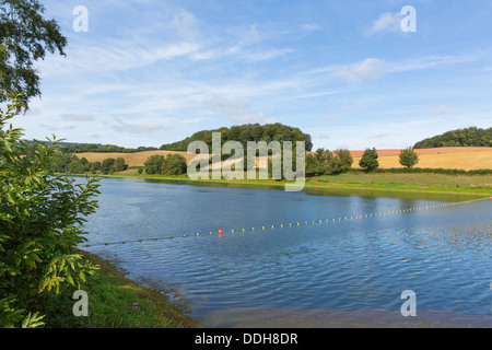 Serbatoio Hawkridge Quantock Hills Somerset con blue sky noto per la pesca alla trota Foto Stock