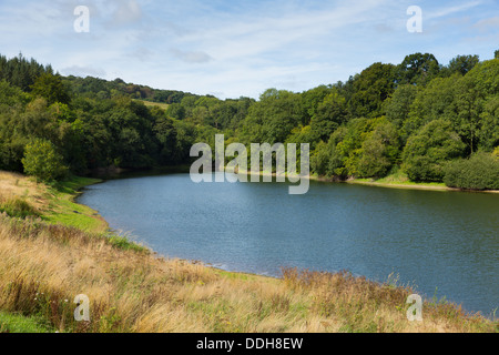 Serbatoio Hawkridge Quantock Hills Somerset con blue sky noto per la pesca alla trota Foto Stock