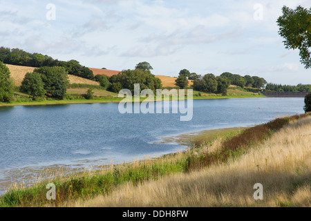 Serbatoio Hawkridge Quantock Hills Somerset con blue sky noto per la pesca alla trota Foto Stock