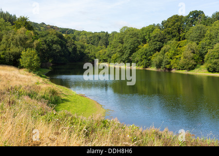 Serbatoio Hawkridge Quantock Hills Somerset con blue sky noto per la pesca alla trota Foto Stock