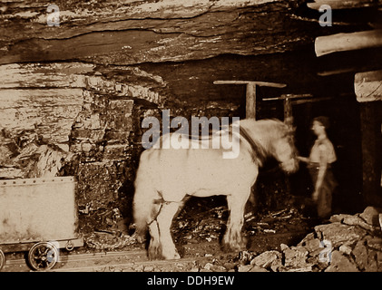 Miniera di carbone pit pony periodo Vittoriano Foto Stock