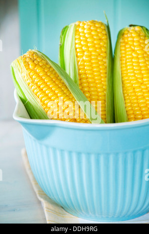 Tre spighe fresche di mais giallo in un blu recipiente di cottura. Foto Stock