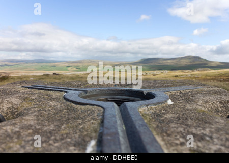 Punto Trig in dettaglio su Moughton cadde con la penna-yghent in background Yorkshire Dales REGNO UNITO Foto Stock