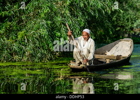 Un uomo paddeling in una barca shikara su un canale vicino dal lago Foto Stock