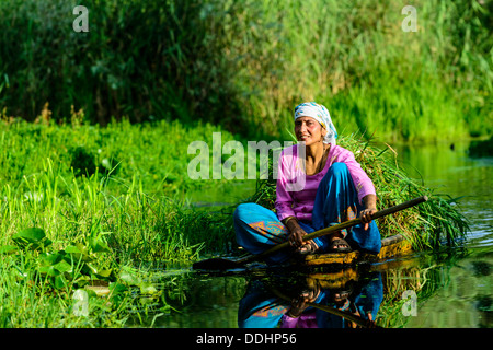 Una donna paddeling in una barca shikara su un canale vicino dal lago Foto Stock