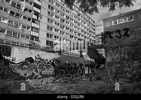 Il Heygate Estate si trova a Walworth, Southwark, e nel Sud di Londra. La station wagon è attualmente demolita. Foto Stock