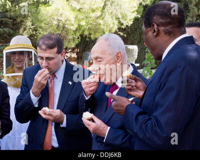 Gerusalemme, Israele. 03Sep, 2013. Il Presidente Shimon PERES (C), conduce gli ambasciatori DAN SHAPIRO (L) di U.S. E HENRI ETOUNDI ESSOMBA (R) del Camerun in immersione un apple nel miele nella tradizione ebraica in occasione di un ricevimento per l'anno Ebraico presso i presidenti di residenza. Gerusalemme, Israele. 3-Settembre-2013. Il Presidente dello Stato di Israele, Shimon Peres, ha ospitato un ricevimento e sollevate un toast all'anno ebraico con gli ambasciatori stranieri in Israele. Peres consegnato commento affrontare la tensione in Siria, i negoziati di pace e di altre questioni. Credito: Nir Alon/Alamy Live News Foto Stock