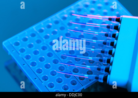 Micropipetta laboratorio per analisi del DNA, la pipetta Foto Stock