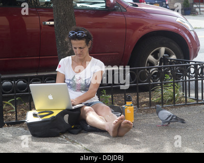 Donna seduta confortevole sul marciapiede utilizzando il proprio computer con un curioso piccione nelle vicinanze, Brooklyn, New York. Foto Stock