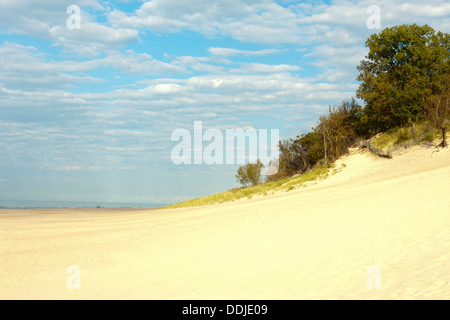 Spiaggia indiana Dunes State Park Dunes National Lakeshore PORTER sul lago Michigan INDIANA USA Foto Stock
