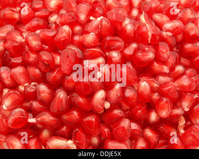 Grani rossi di un melograno. Uno sfondo Foto Stock