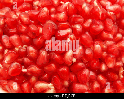 Grani rossi di un melograno. Uno sfondo Foto Stock