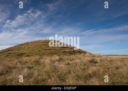 Maeshowe chambered cairn, un sito preistorico in Isole Orcadi Scozia, Regno Unito Foto Stock