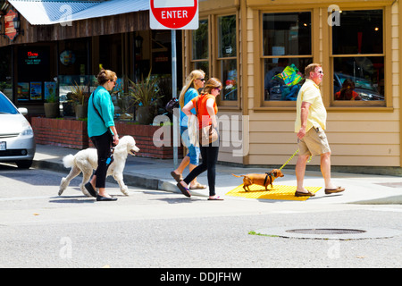 La gente camminare i cani in Cambria, California Foto Stock