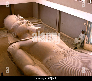 Statua colossale di Ramesse II - XIII secolo a.c. e le rovine di Memphis, Egitto, Africa Foto Stock
