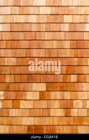 Legno di cedro (Scuote) incastrata a parete o sezione del tetto Foto Stock