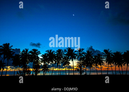 Isole di Cook, isola di Aitutaki, tramonto tropicale colori con silhouette di palme e una falce di luna sorge sopra Amuri Beach Foto Stock
