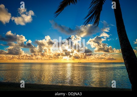 Isole di Cook: stagliano Palm tree con Tall Ship nella distanza sotto il meraviglioso tramonto Colori in Amuri beach, Aitutaki Island Foto Stock