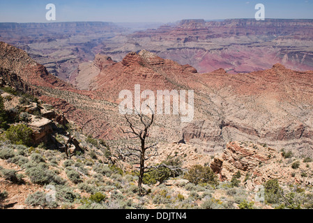 Vista della cresta di cedro dal Ooh Aah punto sulla Kaibab Trail, il Parco Nazionale del Grand Canyon, Arizona Foto Stock