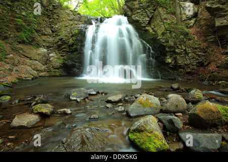 Cascata di fresco verde, Nome è Asamaootaki, Gunma, Giappone Foto Stock