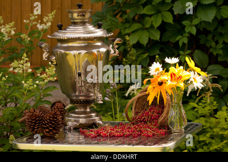 Ancora in vita con samovar, fiori di colore giallo e chamomiles bouquet e ribes rosso Foto Stock