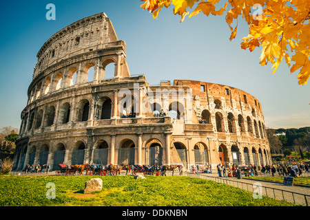 Colosseo a Roma Foto Stock