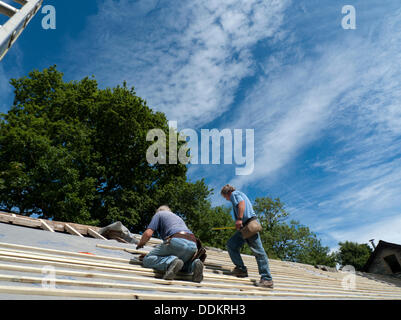 Llanwrda, Wales UK 4° settembre 2013. Costruttori Brian bianco e Jim Hill mettendo un nuovo tetto su un territorio rurale gallese fienile in pietra nel favoloso sole meteo. Kathy deWitt/Alamy Live News Foto Stock