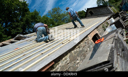 Llanwrda, Wales UK 4° settembre 2013. Costruttori Brian bianco e Jim Hill mettendo un nuovo tetto su un territorio rurale gallese fienile in pietra nel favoloso sole meteo. Kathy deWitt/Alamy Live News Foto Stock