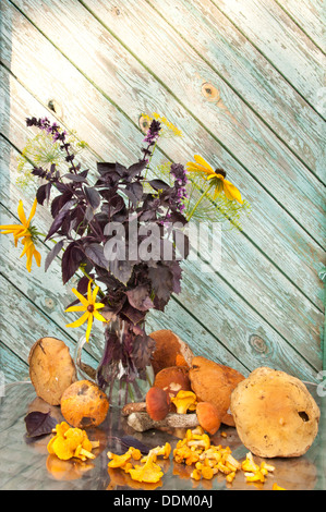 Il basilico, aneto e cono bouquet di fiori ancora vita con funghi Foto Stock