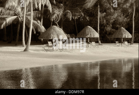 Unbrellas e sedie a sdraio sulla spiaggia della laguna. Bora Bora. Polinesia francese. Foto Stock