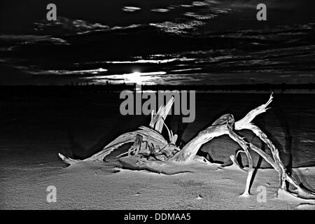 Il lago di Ninan Salt Lake, Victoria Plains Western Australia Foto Stock