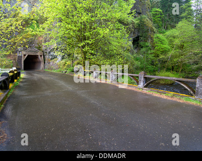 Vecchio Columbia River Higghway e tunnel. Columbia River Gorge National Scenic Area. Oregon Foto Stock