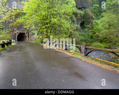 Vecchio Columbia River Highway e tunnel. Columbia River Gorge National Scenic Area. Oregon Foto Stock