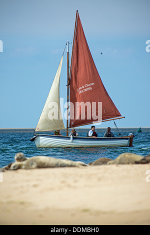 Un clinker costruita imbarcazione a vela passa attraverso le guarnizioni di pelo sul punto blakeney. Foto Stock