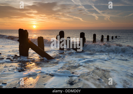 Punto di disprezzare, pennelli (East Yorkshire, Regno Unito) Foto Stock