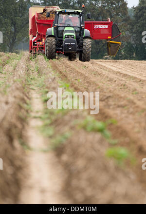 Wriedel, Germania. 04 Sep, 2013. Un agricoltore di raccolti di patate con un grubber vicino Wriedel, Germania, 04 settembre 2013. Foto: Philipp Schulze/dpa/Alamy Live News Foto Stock