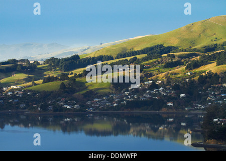 Macandrew Bay e la penisola di Otago riflessa nel porto di Otago, Dunedin, Otago, Isola del Sud, Nuova Zelanda Foto Stock