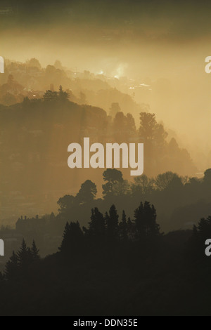 La nebbia e la bassa luce solare su Dunedin Botanic Garden e Leith Valley, Dunedin, Otago, Isola del Sud, Nuova Zelanda Foto Stock