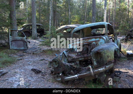 La formazione di ruggine vecchia auto in un cimitero di auto in una foresta Foto Stock