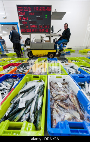 Il mercato del pesce o il banditore a Concarneau Bretagna Francia - il terzo più grande porto di pesca in Francia. Foto Stock